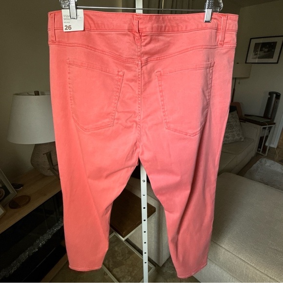 Lane Bryant Women’s Signature Fit Skinny Mid Rise Salmon Jeans Size 26 NWT $79 - Picture 5 of 10